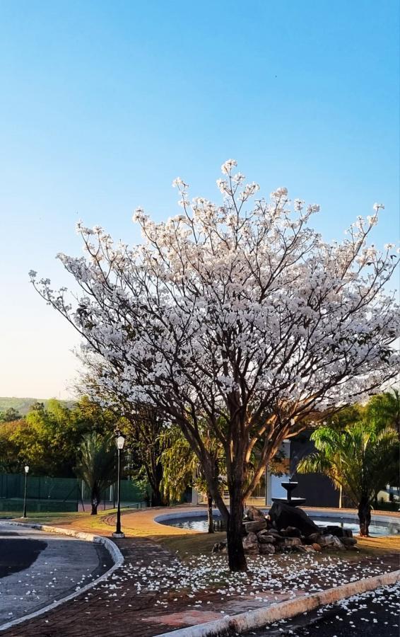 Terreno, 353 m² - Foto 3